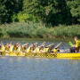 DSC07556E
