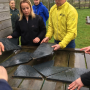 stormbaan5