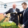 20170315-Photo-Royal-Commissioner-Johan-Remkes-baptizes-tulip-Golden-Dragon